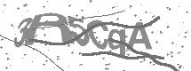visual captcha